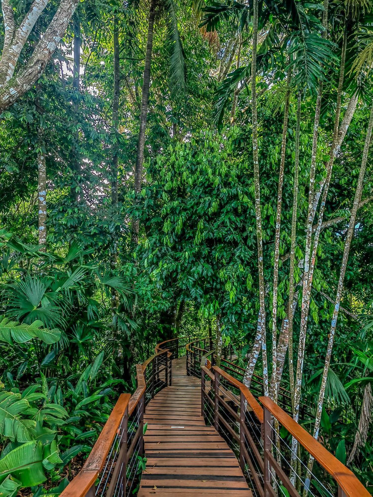 Lapa Rios Lodge By Boeena Puerto Jimenez Exterior photo